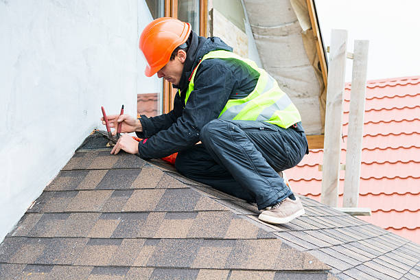 Best Gutter Installation and Roofing  in Cary, NC