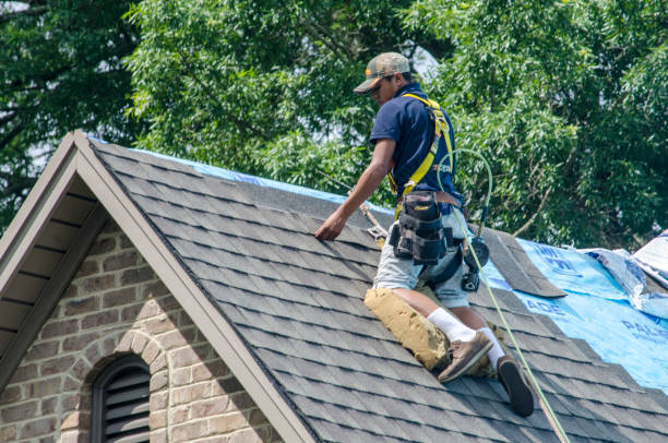 Best Roof Leak Repair  in Cary, NC